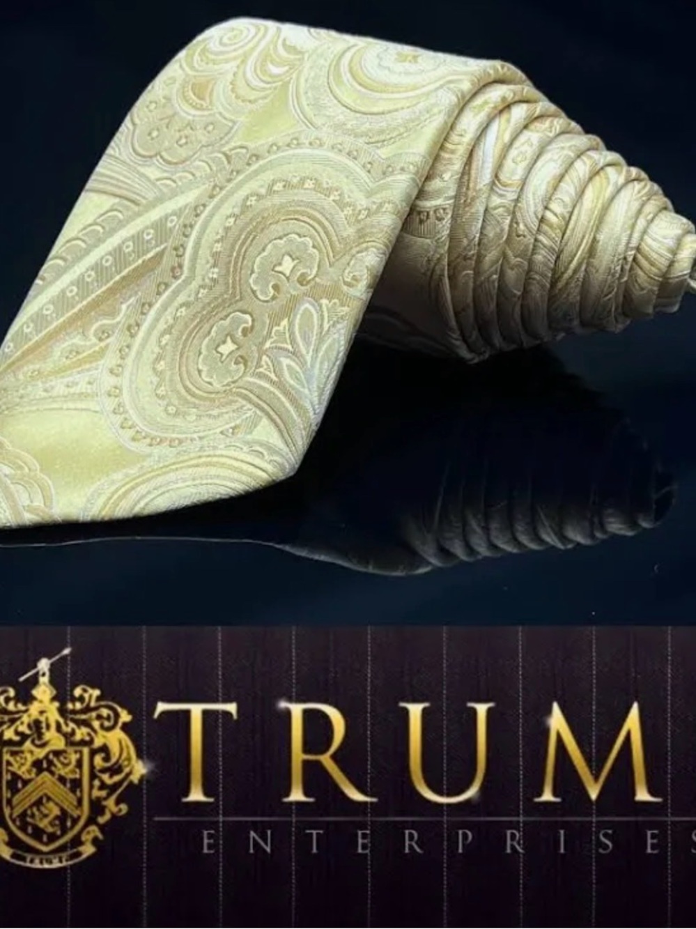 Elegant Cream Paisley Men's Tie by TRUM Enterprises